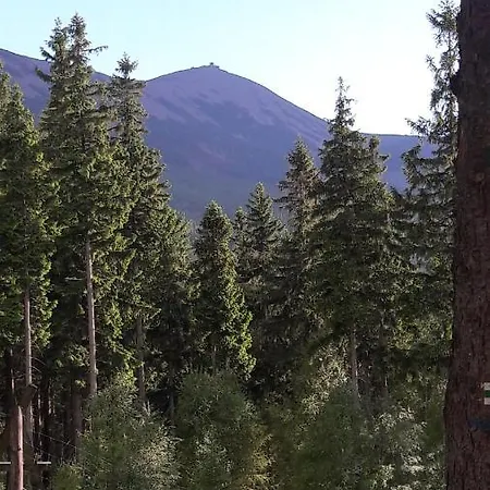 Willa Bielik Ośrodek wypoczynkowy